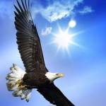 دانلود مقاله پرواز بدون موتور دانلود مقاله پرواز بدون موتور