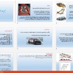 دانلود پاورپوینت طراحی شاسی و بدنه خودرو